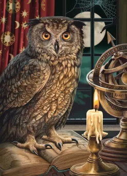 Cobble Hill De Astroloog - Puzzel Van 1000 Stukjes