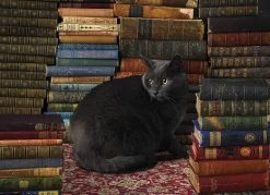 Cobble Hill Kat Tussen De Boeken - 1000 Stukjes