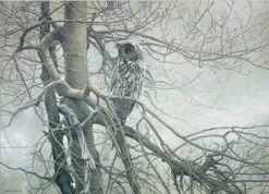 Cobble Hill Spook Van Het Noorden - Puzzel Van 1000 Stukjes