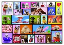 Educa Grappige Dieren - Puzzel Van 1000 Stukjes