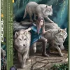 Eurographics Puzzles De Kracht Van Drie - Anne Stokes - Puzzel Van 1000 Stukjes