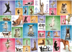 Eurographics Puzzles Yoga Dogs - Collage - Puzzel Van 1000 Stukjes