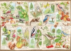 Ravensburger Bijzondere Bomen- Puzzel Van 1000 Stukjes