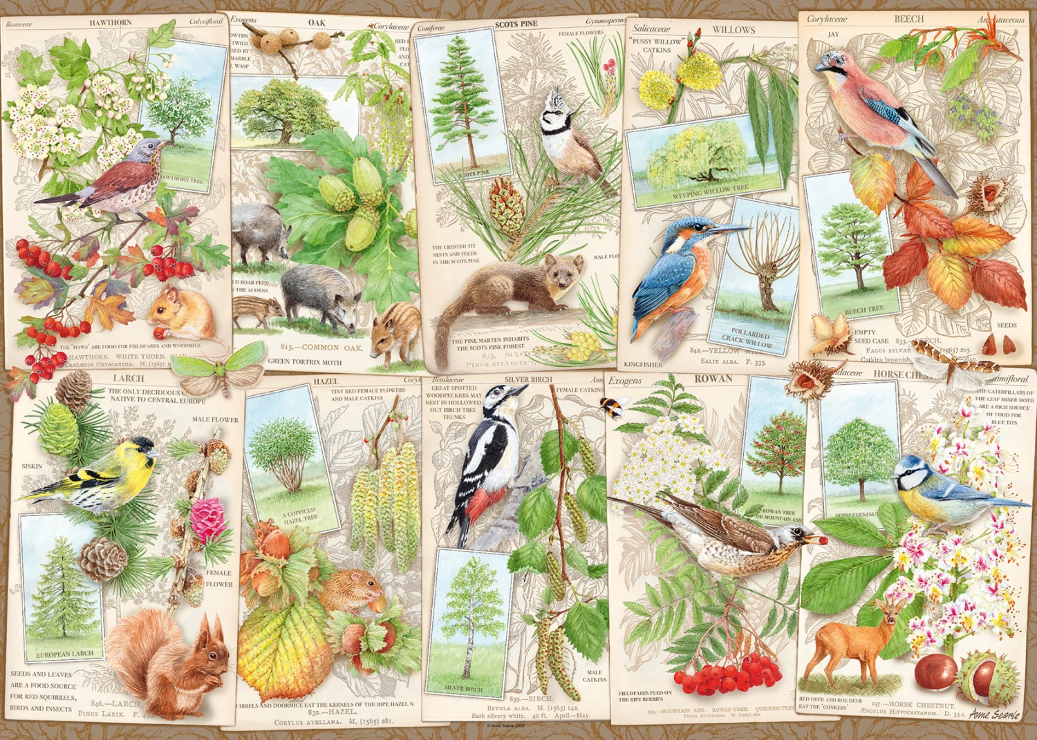 Ravensburger Bijzondere Bomen- Puzzel Van 1000 Stukjes