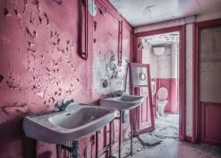 Ravensburger Pink Dreams - Lost Places - 1000 Stukjes