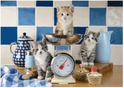 Schmidt Katten In De Keuken - 500 Stukjes