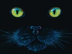 SUNSOUT De Zwarte Kat - Legpuzzel Van 1000 Stukjes